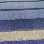 Women Fancy Cotton Saree for Festive Wear with Trendy Style