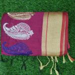 Women Silk Cotton Saree for Festive Collection with Classic Look