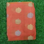 Women Fancy Cotton Saree for Festive Wear with Stylish Border & Premium Look