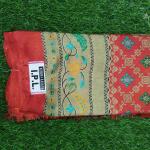 Women Silk Cotton Saree for Festive Collection with Rich Design & Smooth Texture