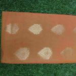 Women Linen Cotton Saree for Summer Wear with Natural Fabric & Breathable Comfort