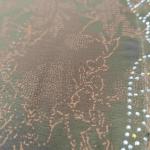 Elegant Designer Stone Saree Collection