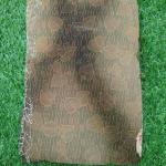 Trendy Stone Work Fancy Saree