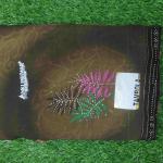 Women Fancy Cotton Saree for Party Styling with Elegant Appeal
