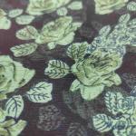 Women Fancy Cotton Saree with Vibrant Casual Styling