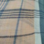 Women Fancy Cotton Saree with Elegant Evening Style
