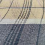 Women Fancy Cotton Saree with Elegant Evening Style