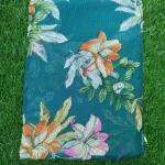 Women Fancy Cotton Saree with Chic Festive Appeal