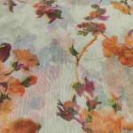 Women Fancy Cotton Saree with Designer Inspired Finish
