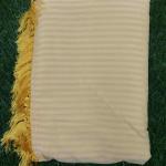 Women Linen Cotton Saree with Subtle Soft Texture