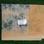 Women Silk Cotton Saree with Traditional Pattern Touch