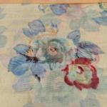 Women Silk Cotton Saree with Traditional Pattern Touch
