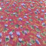 Women Silk Cotton Saree with Fine Woven Detailing